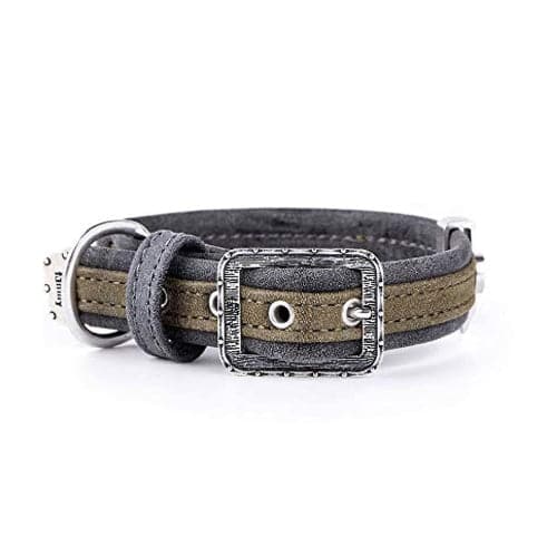 ماي فاميلي لندن طوق جلد أخضر 45×2.8 سم