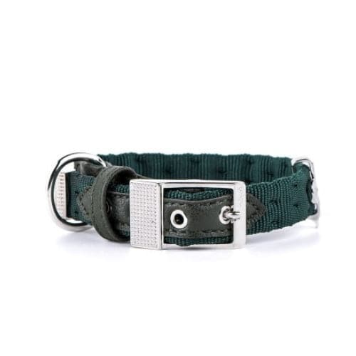 ماي فاميلي ميلان طوق نيلون أخضر 26×1.6 سم
