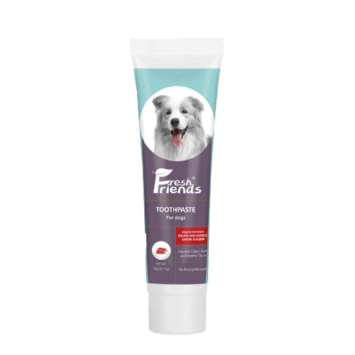 فريش فريندز معجون اسنان للكلاب بنكهة اللحم البقري