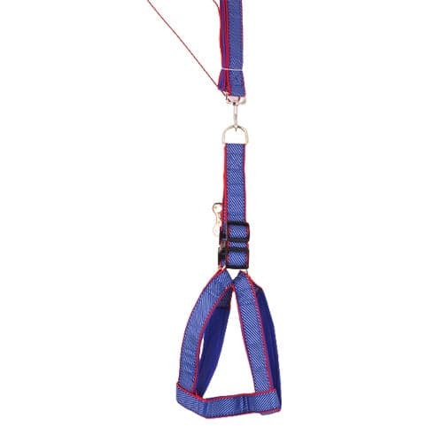 صدرية للكلاب