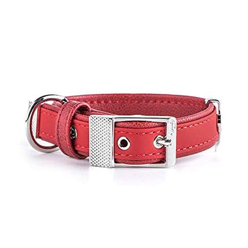ماي فاميلي بلباو طوق جلد احمر وسط 45×2.2سم