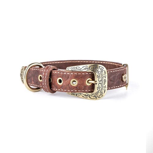 ماي فاميلي ال باسو طوق جلد بني صغير 35×1.6سم