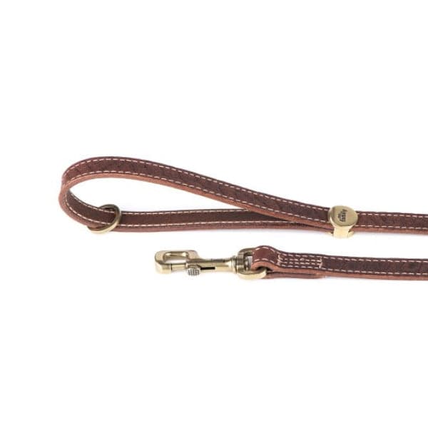 ماي فاميلي ال باسو مشد جلد بني 110×1.6 سم