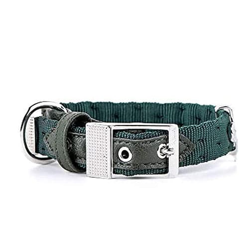 ماي فاميلي ميلان طوق نيلون اخضر صغير 35×1.6سم