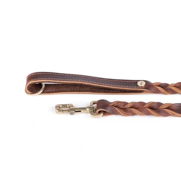 ماي فاميلي أسكوت طوق جلد بني 55×2.8سم كبير