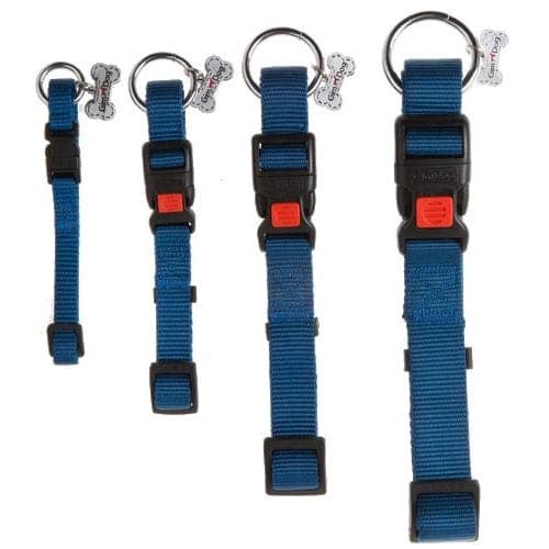 جيم دوق طوق نايلون كلاب لون أزرق 2.5*60 سم