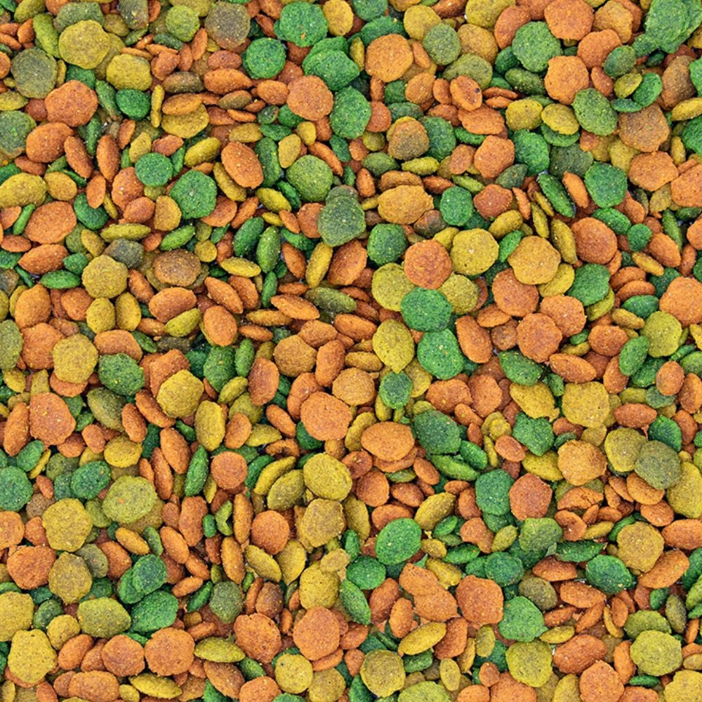 فيرسل لاقا جي 14 تروبيكال طعام للبراكيت الكبير